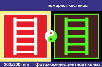 F03 пожарная лестница (фотолюминесцентная пленка, 200х200 мм) - Знаки безопасности - Фотолюминесцентные знаки - магазин "Охрана труда и Техника безопасности"