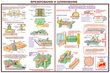 ПС09 Безопасность труда при деревообработке (ламинированная бумага, А2, 5 листов) - Плакаты - Безопасность труда - магазин "Охрана труда и Техника безопасности"